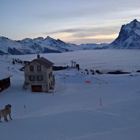 Lodge Bergrestaurant Kleine Scheidegg Esterno foto
