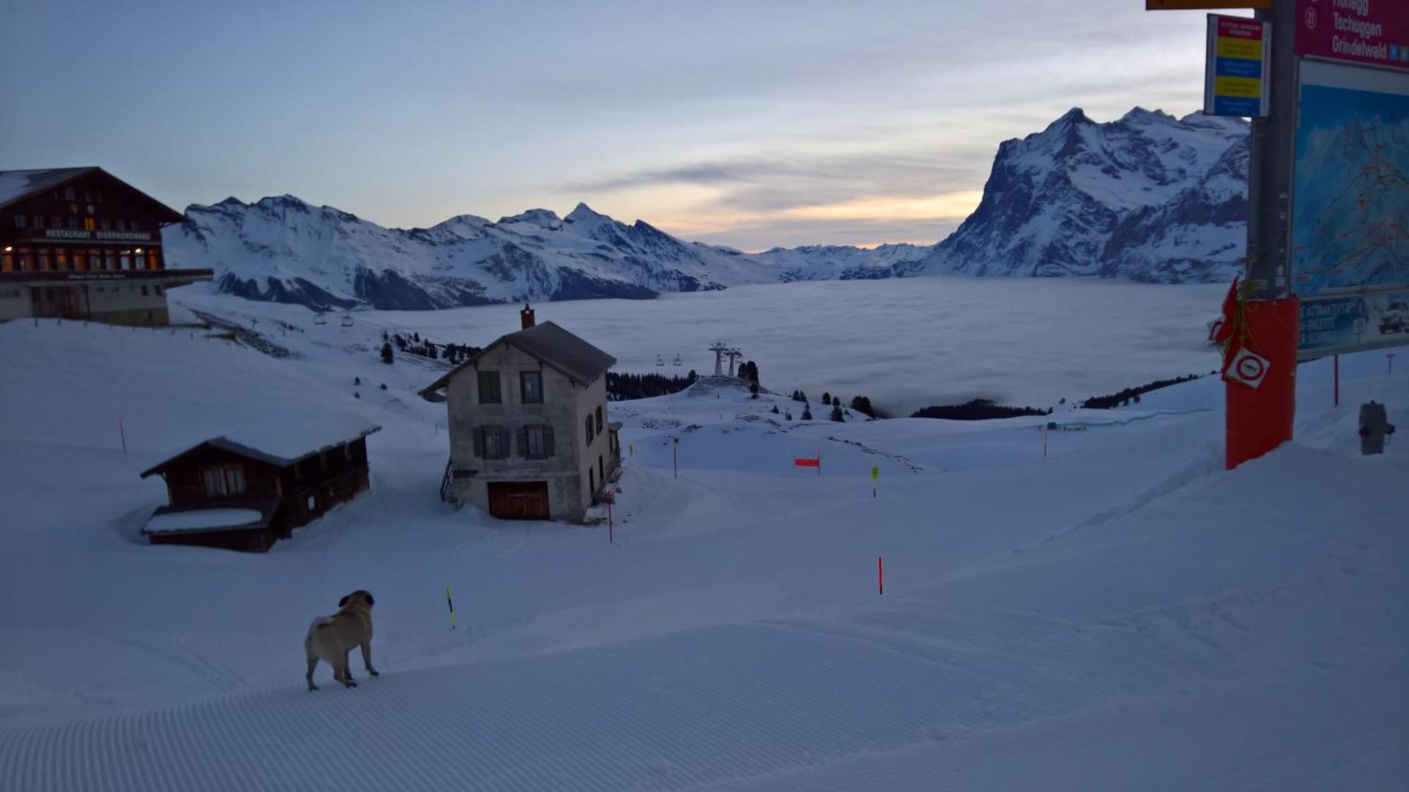 Lodge Bergrestaurant Kleine Scheidegg Esterno foto