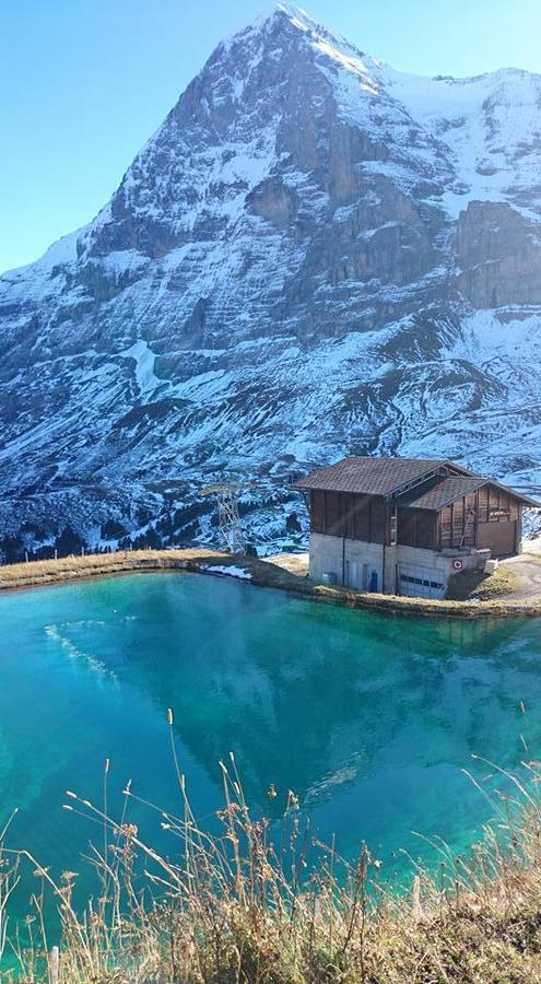 Lodge Bergrestaurant Kleine Scheidegg Esterno foto